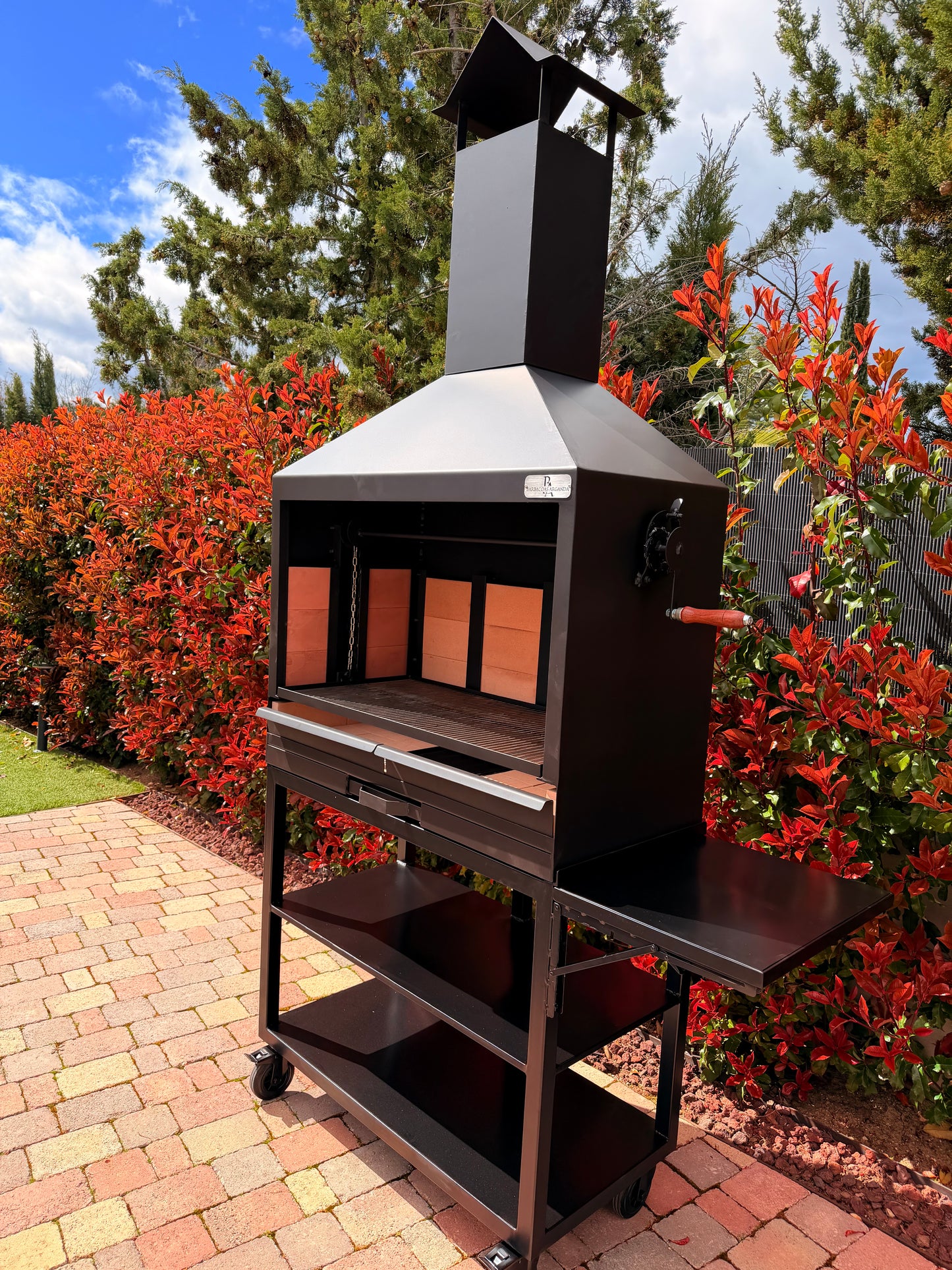 Barbacoa Modelo Elite con Carro 100